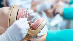 Diş Hekimliği Eğitiminde 'Gizli' Masraf Kalemi: Eğitim Süresince Kullanılan Malzeme Maliyetleri ve Ekonomik Silsile - YKS